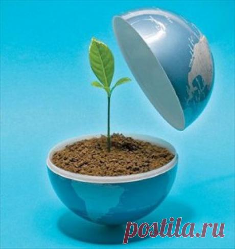 Заговор на продажу вещи, товара, земли, гаража или недвижимости