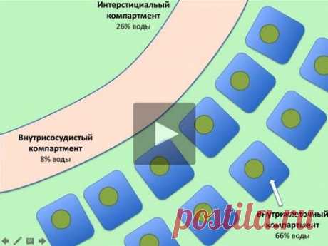 Презентационный вебинар к серии Инфузионная терапия