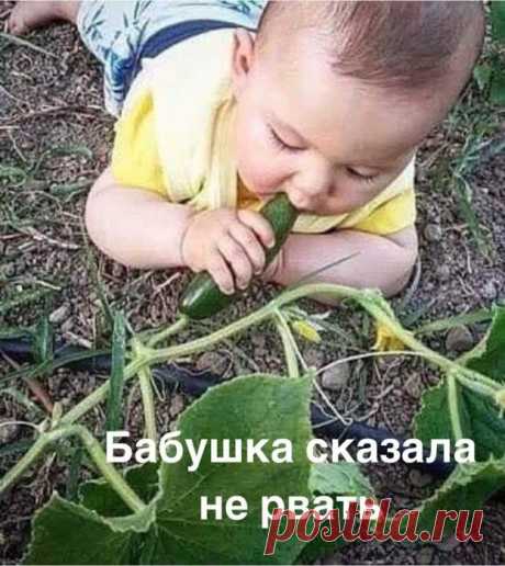 Дети-это счастье