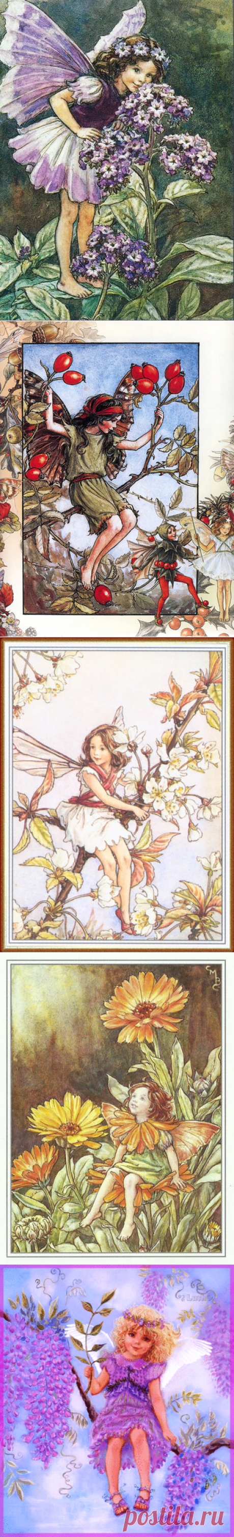 "Flower Fairies - Sheila Burgos" — card of the user Катерина В. in Yandex.Collections