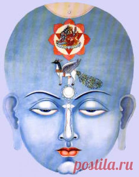 Чакра Сахасрара