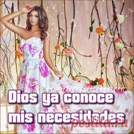 Dios conoce tus necesidades | Arcoiris de Promesas