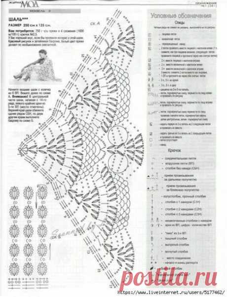 35 схем для бактуса крючком | Сашка-Вязашка | Яндекс Дзен