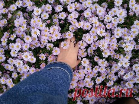 «Улыбайся, даже если твое сердце болит. Улыбайся, даже если тебе больно».