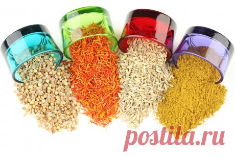 Полезные, лечебные свойства пряностей и специй