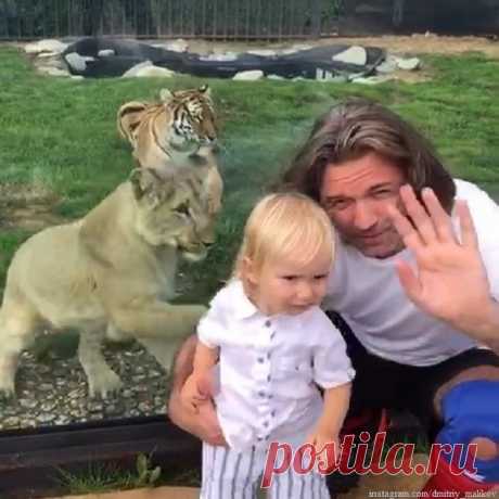 Дмитрий Маликов выбрал для себя и 1,5-годовалого сына одинаковые плавки с кактусами | Краше Всех