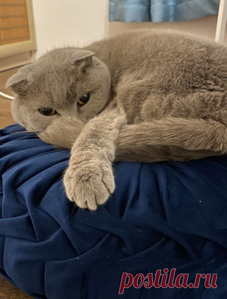 Спокойной ночи
#Спокойной_ночи я желаю,
Пусть сладкий сон к тебе придет.
Я тоже глазки закрываю,
Отправлюсь в сказочный полет.
Пусть эта ночь тебе подарит
Твои далекие мечты,
И пусть реальностью всё станет,
Что только пожелаешь ты!
из интернета)
#анастасиясклянная