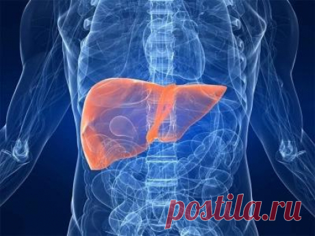 Прислушайся к своему телу. 9 сигналов, которые говорят о том, что в печени накопились токсины