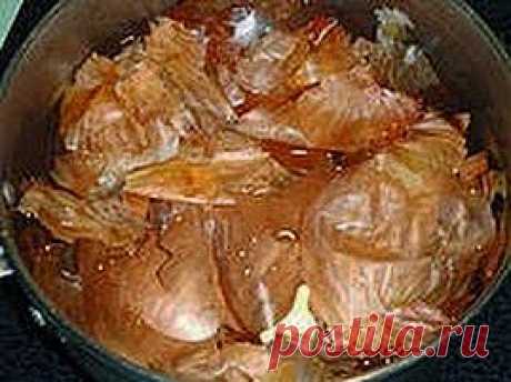 Лечим почки луком | Друг пенсионера