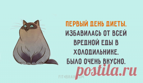 Вот сэтого и надо начинать диету!!! Ха-ха-ха!!!