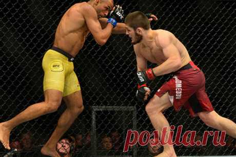 Бесполезные приемы против борца 
Встретится в схватке с подготовленным борцом не хотел бы ни один ударник. Большинство популярных приемов будут просто бесполезны. Опытный тренер на собственном примере показывает, что точно не с…