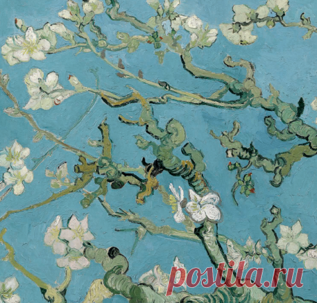 Цветущий миндаль. Музей Ван Гога, Амстердам (Фонд Винсента Ван Гога)