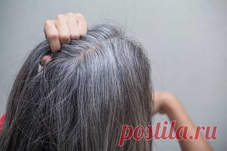 Стилист назвала главную ошибку при окрашивании седых волос. Стилист Памела Моррисси и владелица салона красоты Cork в Ирландии назвала главную ошибку при окрашивании седых волос. Так, эксперт рассказала, что многие люди окрашивают седые волосы в светлые оттенки. По ее словам, перекрашиваться в блонд — это не выход, поскольку подобные цвета сильно старят.