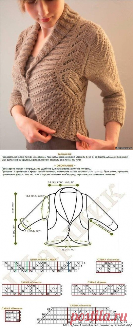 жакет-болеро с закругленными полочками спицами