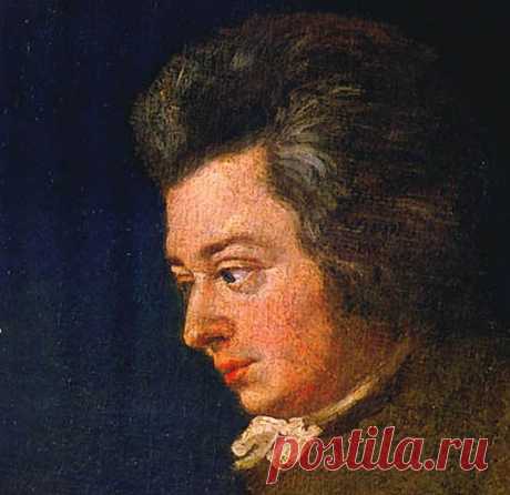 Таинственная смерть. В поисках окончательного диагноза | ПолонСил.ру - социальная сеть здоровья