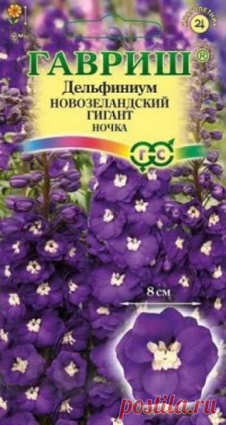Семена. Дельфиниум махровый "Новозеландский гигант ночка" (3 штуки) Всхожесть: 70%.
Новозеландские гиганты — признанные мировые законодатели селекционной моды среди дельфиниумов. Исключительные декоративные качества, зимостойкость, долговечность и неприхотливость, сделали эти сорта самым желанным приобретением многих профессионалов и садоводов-любителей...