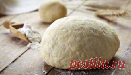 Как хранить дрожжевое тесто?