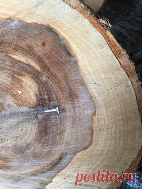 12 невероятных фотографий, которые выглядят как фальшивка, но это не