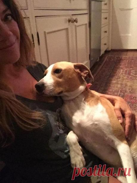 Ее оставили на привязи без воды и еды с 8 щенками на 2 недели