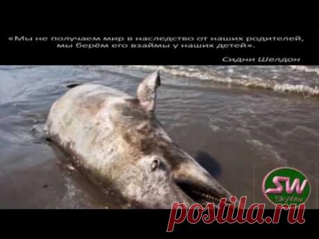 Уже облажались - так и будем дальше лажать?