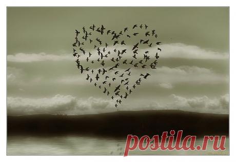 Секрет идеального песочного теста. Видеоблог Сергея Калинина