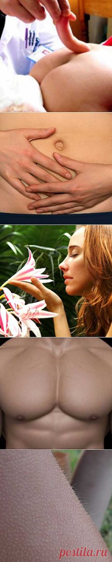 7 эволюционных "пережитков" человеческого тела. Крылья у птиц, которые не умеют летать, глаза у слепой рыбы, половые органы у растений, которые не размножаются путем спаривания – это только единичные примеры бесполезных органов, наблюдаемых в живой природе. А таких примеров – бесчисленное множество. Поневоле возникает вопрос – зачем они нужны, эти бесполезные органы?