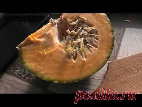 Почему тыква ВОЛЖСКАЯ СЕРАЯ начала прорастать изнутри уже в январе