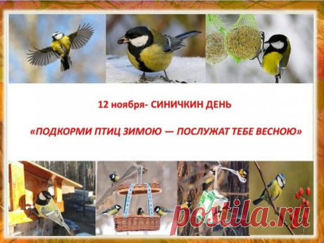 В старину верили: кто в Синичкин день повесит кормушку, того птицы будут благодарить весь год! Пусть ваши заботливые руки принесут счастье и гармонию в дом.
Открытки на Синичкин день
