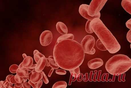 Найдены влияющие на продолжительность жизни белки. Ученые Эдинбургского университета в Шотландии показали, что продолжительность жизни зависит от двух белков крови. Лекарства, нацеленные на эти соединения, способны замедлить старение. Один из белков называется аполипопротеином (а), а другой — молекулой адгезии сосудистых клеток 1.