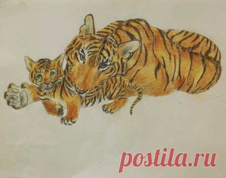 Амурские тигры 1995 г. (карандаш)