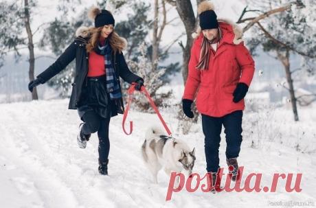 Братья наши меньшие