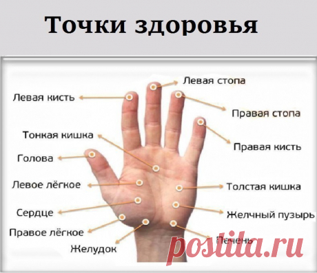 МАССИРУЯ ПАЛЕЦ ПО 1 МИНУТЕ В ДЕНЬ, ПОРАЗИШЬСЯ ТОМУ, ЧТО СЛУЧИТСЯ С ТВОИМ ТЕЛОМ