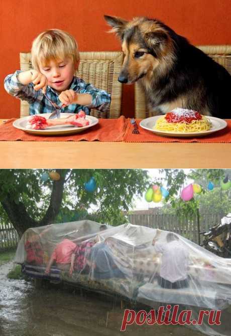 Фотоприколы - 57 фото - Нет скуки.ру - Развлекательный портал