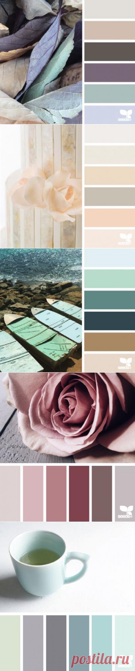 design seeds | search | for all who ♥ color