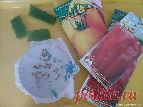 Перцы | Записи в рубрике Перцы | Дневник огородника