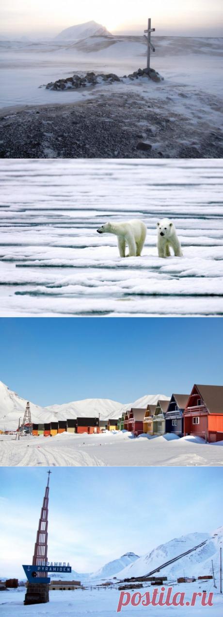 Здесь белых медведей больше, чем людей / Туристический спутник
