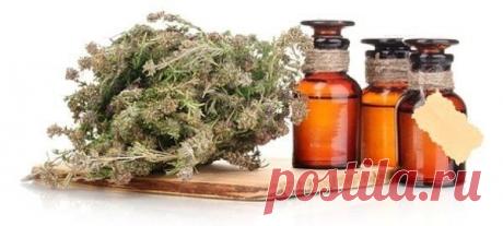 Интересные новости