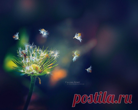 1280x1024_falling.jpg (1280×1024)