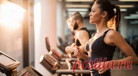 Правильное питание при спортивных тренировках | Блоги о даче, рецептах, рыбалке