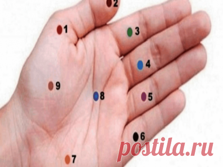 (51) Одноклассники