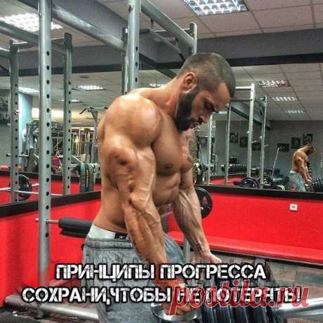 Принципы прогресса / Спорт Сильных!