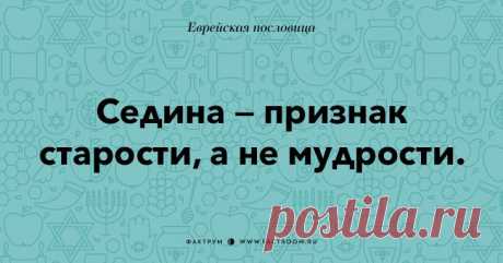 35 остроумных еврейских пословиц, которые добавят вам мудрости