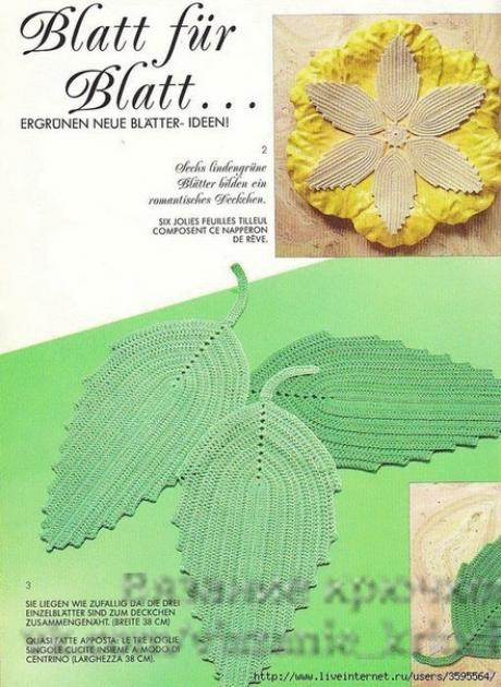 Такие разные листики