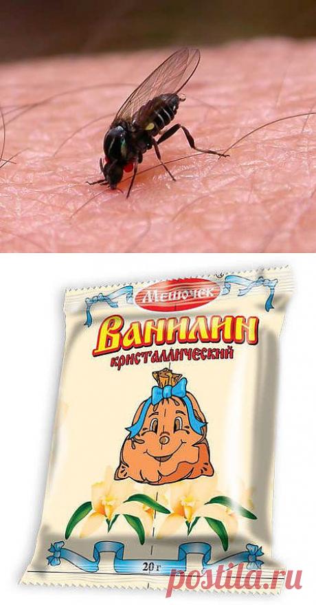 Мошку отпугнет ванильная вода
.