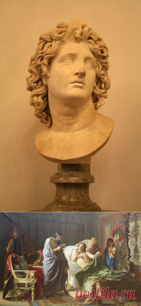 Жертва самолечения. От чего умер Александр Македонский | История | Общество | Аргументы и Факты