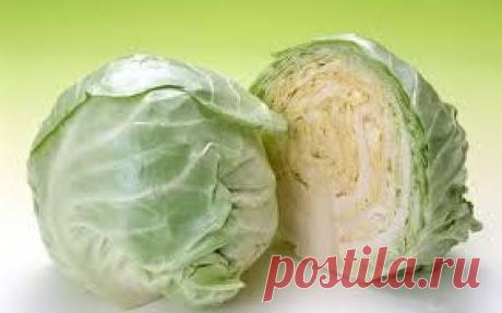 Способ выращивания поздней капусты.