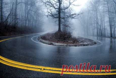 Обои туман, пейзаж, дорога, влажная, мокрая для рабочего стола - раздел Природа