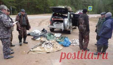 Имеет ли право сотрудник рыбоохраны досматривать автомобиль рыболова? | Рыболовные фишки Пульс... В недавней статье я рассказывал об основных моментах в законе о рыболовстве, которые нужно знать рыболовам. Но у многих возник вопрос к пункту о досмотре автомобиля сотрудником рыбинспекции.