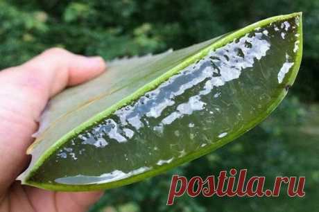 Напиток, который избавит кишечник до 9 кг шлаков Нам необходима пища, чтобы у нас была энергия для выполнения разных действий. Но организм не использует все, что мы потребляем, и лишние отходы должны выходить. Во время пищеварения...