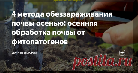 4 метода обеззараживания почвы осенью: осенняя обработка почвы от фитопатогенов Статья автора «Дачные истории» в Дзене ✍: Добрый день, дорогие друзья, садоводы и огородники! Приветствую вас в нашем сообществе "Дачные истории". Всевозможные болезни и вредители густо населяют почву.